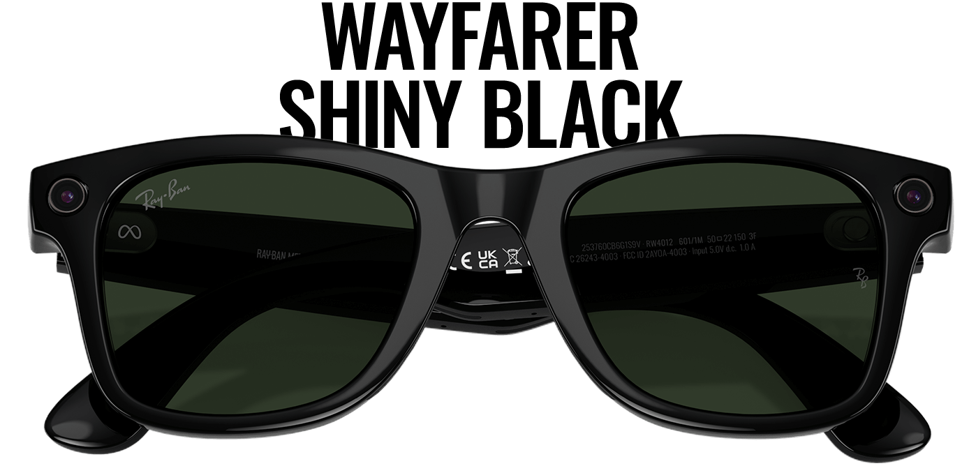 Wayfarer Shiny Black
